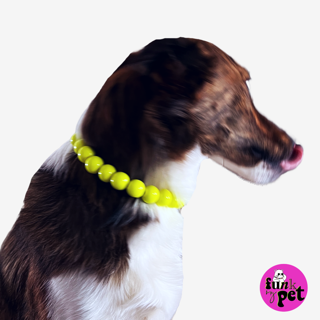 neon yellow