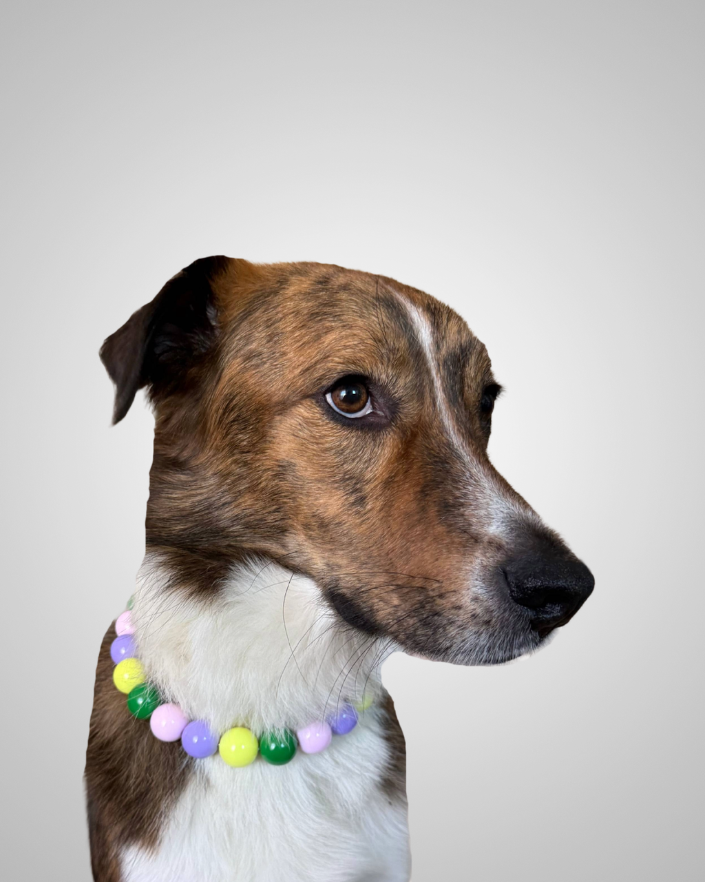 retro thunder