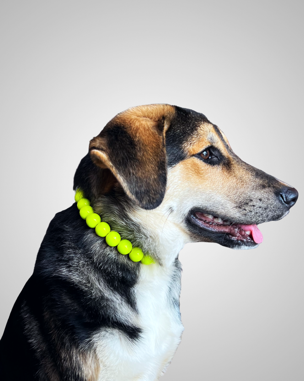 neon yellow
