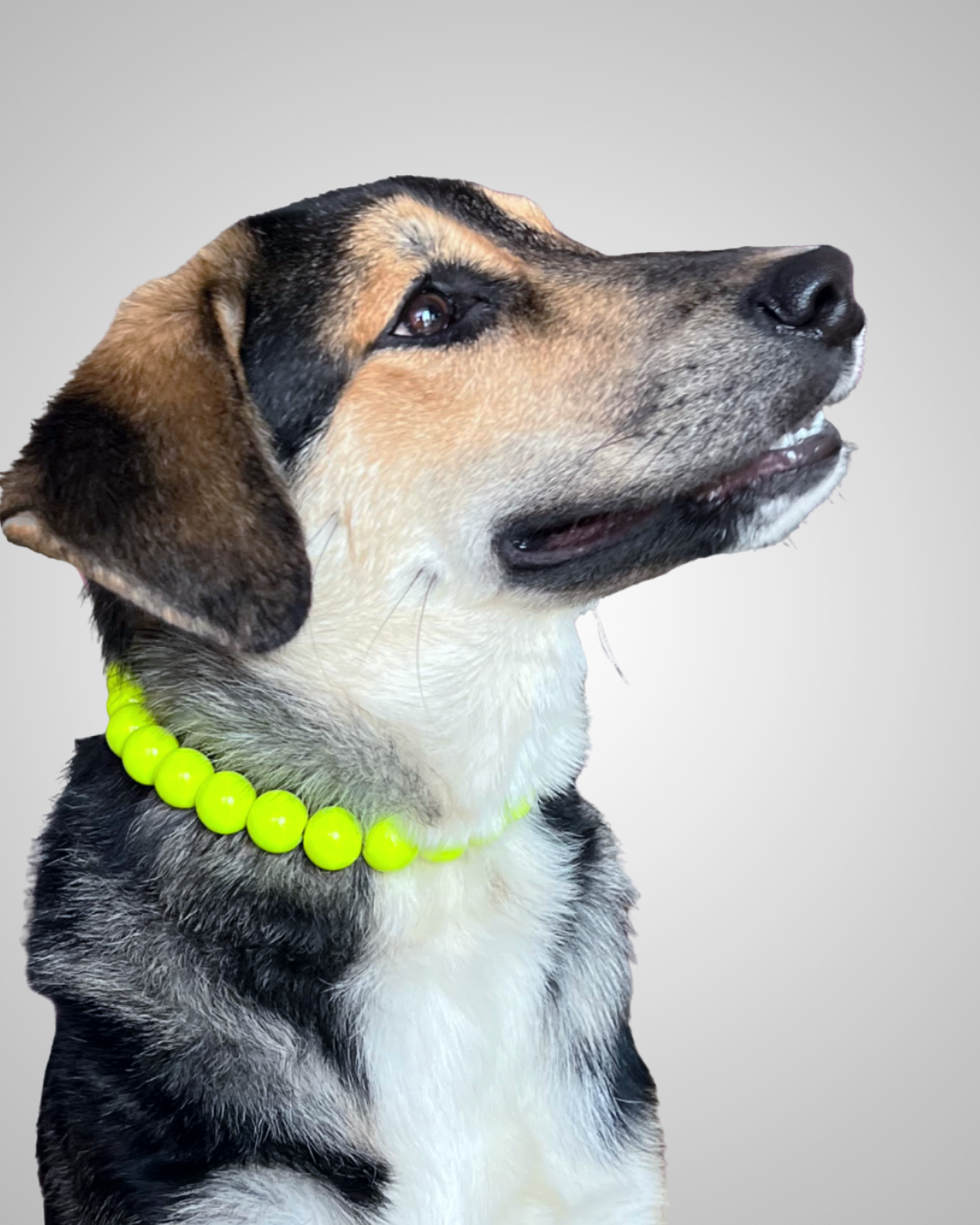 neon yellow