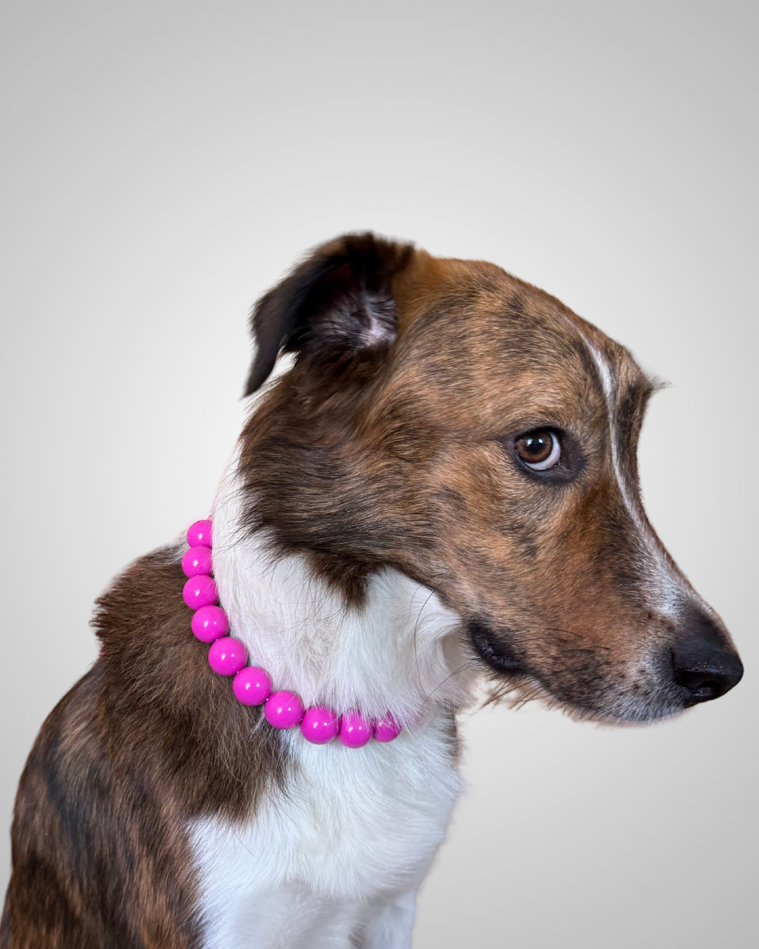 fuchsia fashion