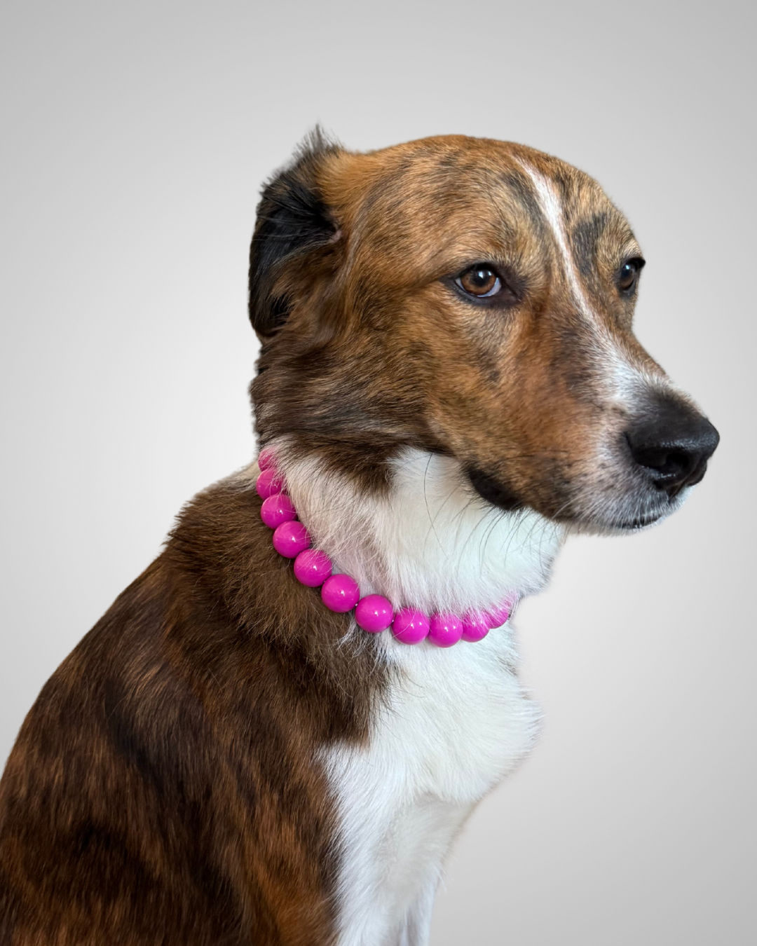 fuchsia fashion